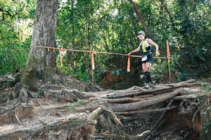 BIB: 
                            <button type="button" onclick="openModal(27745802)" class="btn btn-primary btn-sm float-right btn-popup" data-toggle="modal" data-target=".modal-high-quality">
                        <i class="fas fa-shopping-cart"></i> Add to Cart
                    </button>
                                            <button type="button" onclick="isThisMe(27745802, true)" class="btn btn-success btn-sm float-right btn-popup btn-isme hidden" data-toggle="tooltip" data-placement="bottom" title="นี่คือรูปของคุณใช่ไหม คลิกที่นี่เพื่อเอาเข้าอัลบั้ม">
                        <i class="fas fa-plus"></i> Add to album
                    </button>
                    <button type="button" onclick="isThisMe(27745802, false)" class="btn btn-warning btn-sm float-right btn-popup btn-isnotme hidden">
                        <i class="fas fa-ban"></i> Remove from album
                    </button>